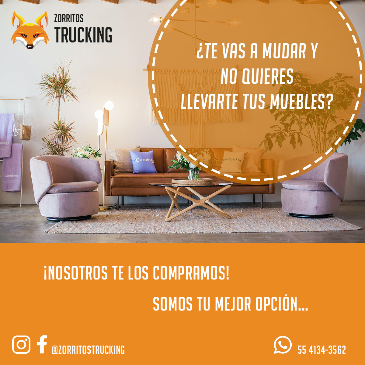 post_zorritos trucking_03